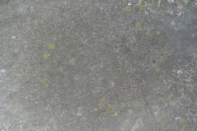 Concrete Floor Staining in Frisco, TX
